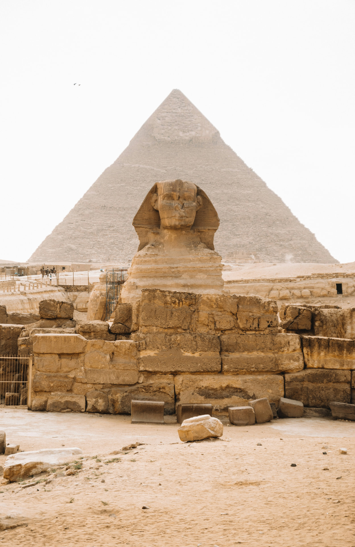 Great Sfinxen i Giza i närbild, med Cheopspyramiden bakom