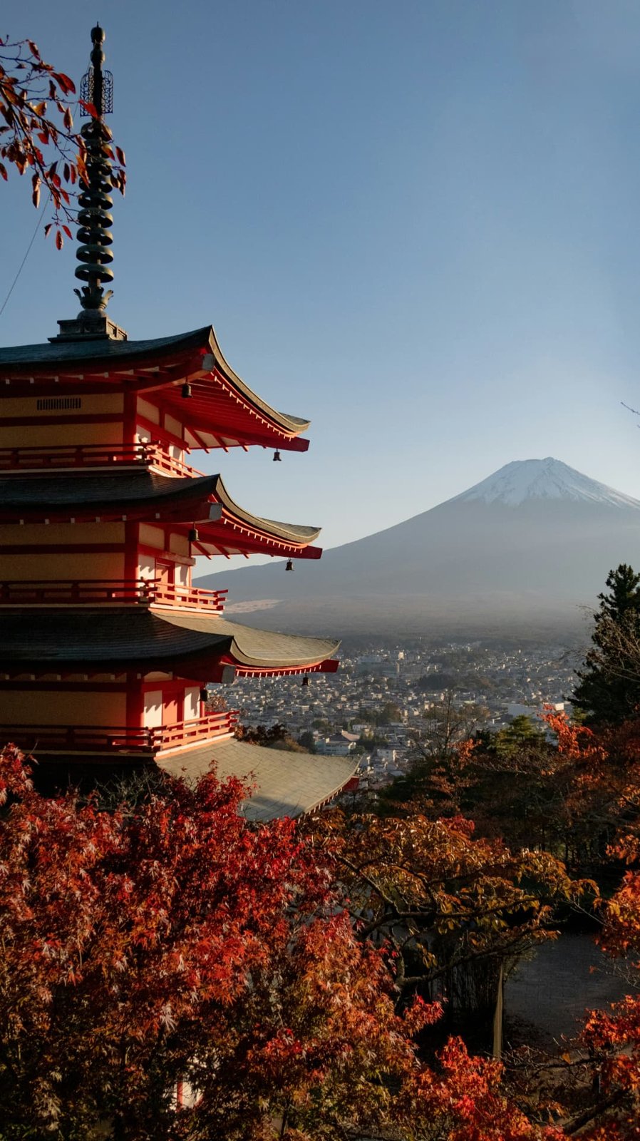 Berget Fuji med höstfärgade träd i förgrunden